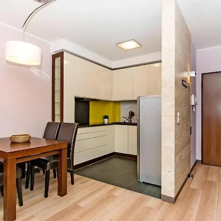 Apartament Bryza 公寓 *
